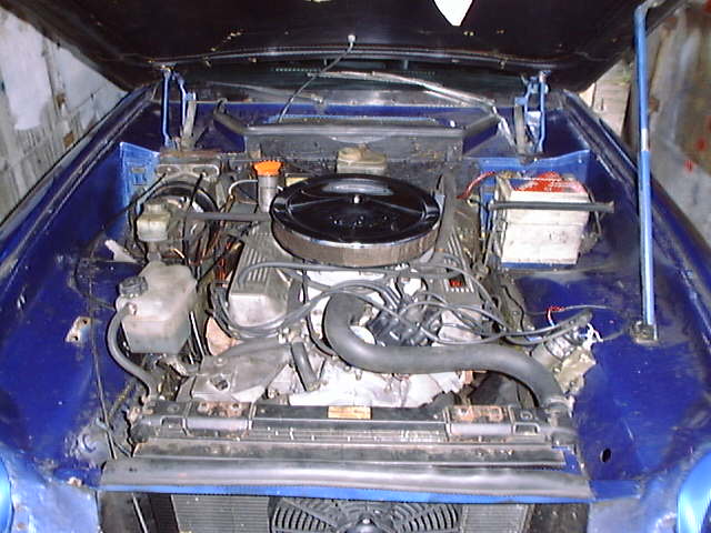 Jensen Healey